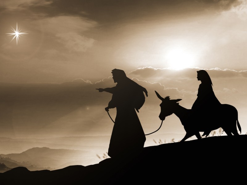 2023 ADVENT SCHEDULE AT HOLY TRINITY CATHOLIC CHURCH,            Gainesville, VA