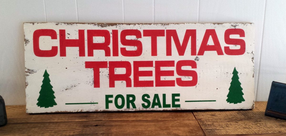 Christmas Trees Sale