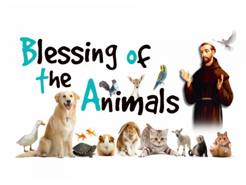 Blessing of the Animals!