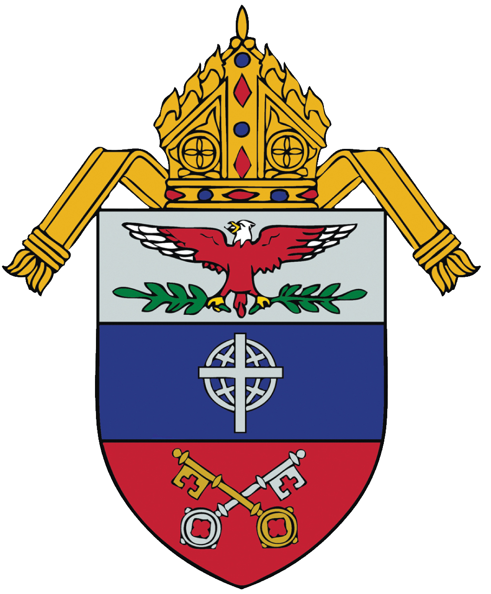 Team St. Paul