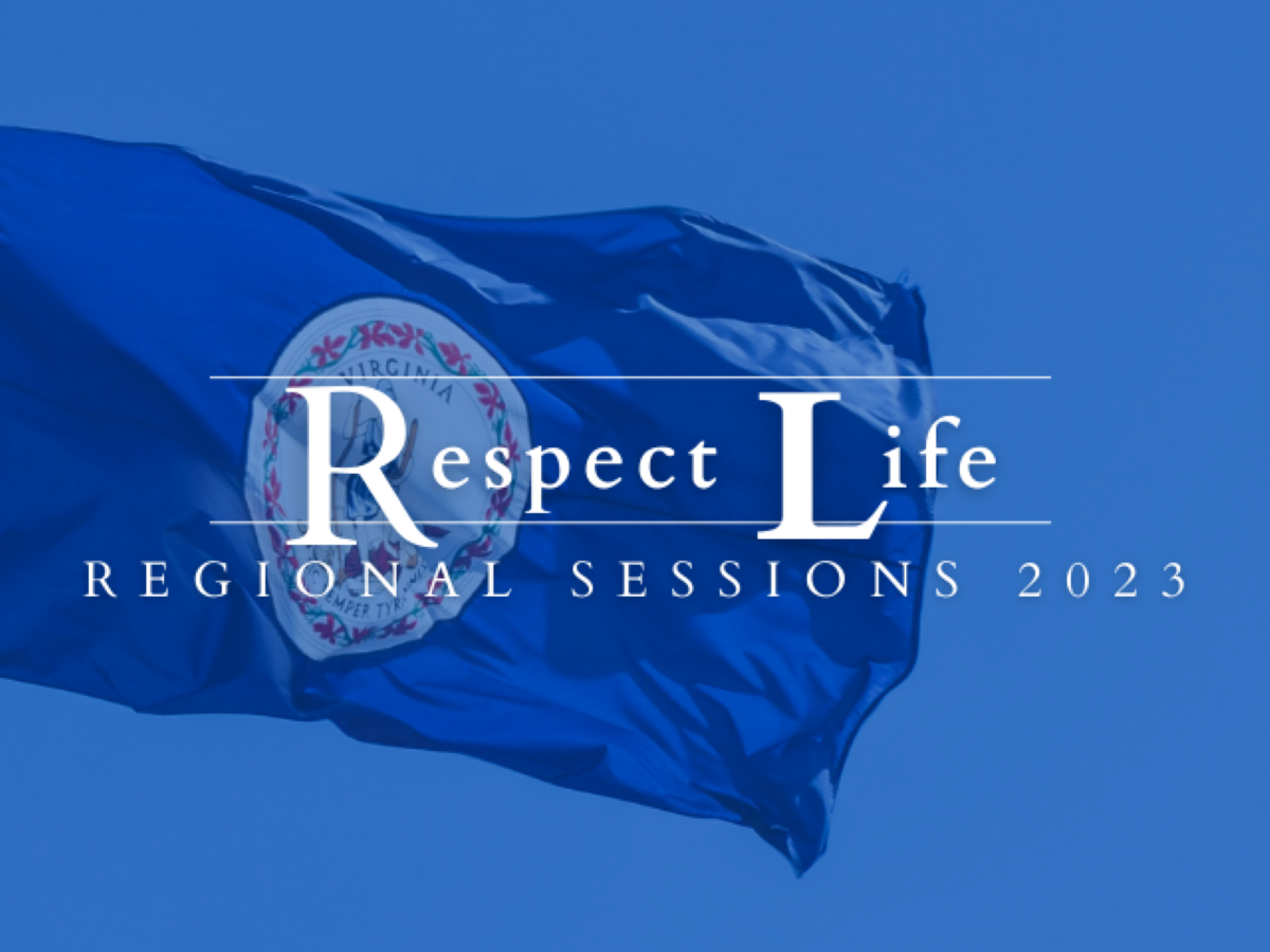 Diocesan Regional Sessions for the Virginia Elections 2023